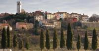 Livade