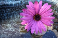 Aromasoul massaggio